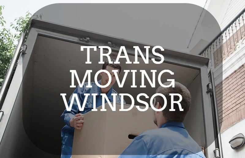 Easy Moving Company Windsor